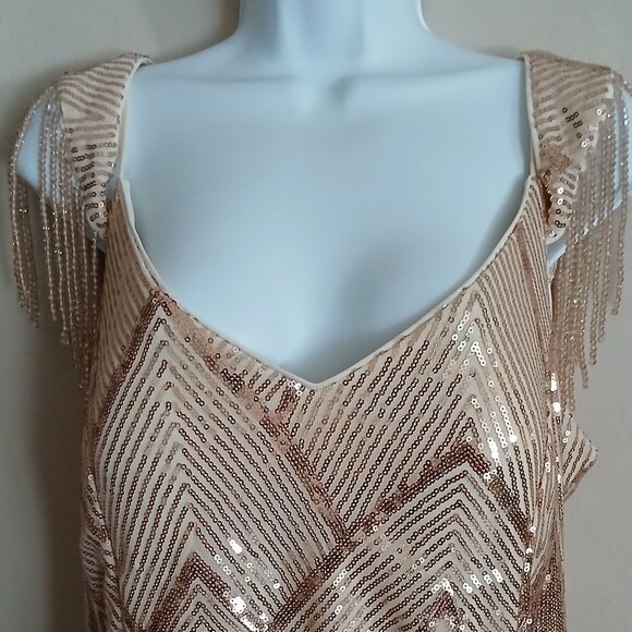 Gold Sequin Fringe Sleeve Maxi Dress Plus Size - Picture 2 of 9